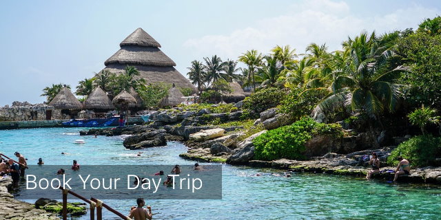 Airport transfers, tours and excusions